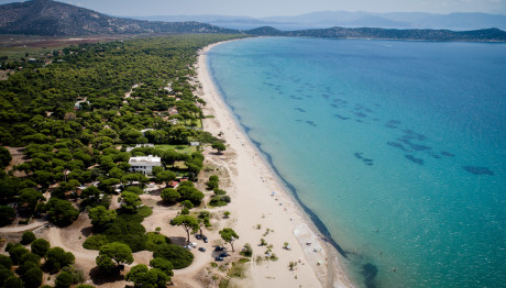Σχινιάς: Βρέθηκε Πτώμα Να Επιπλέει Στη Θάλασσα, Είχε Βαρίδι Στο Πόδι