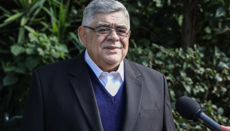 Νίκος Μιχαλολιάκος: Επιστρέφει Στη Φυλακή