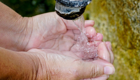 Γαστρεντερίτιδα: Μια Νεκρή Με Συμπτώματα Στη Μαγνησία