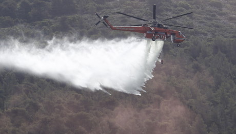 Φωτιά Στην Αλίαρτο