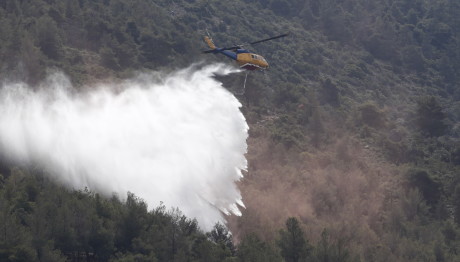 Φωτιά Στη Βαρυμπόμπη