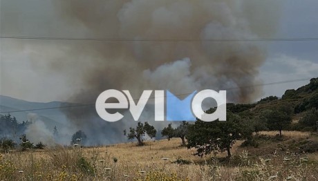 Φωτιά Στην Εύβοια