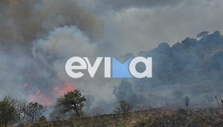 Φωτιά Στην Εύβοια