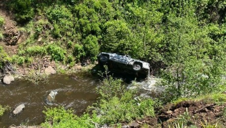 Σκύλος Έτρεξε 6 χλμ. Για Να Φέρει Βοήθεια Στον Ιδιοκτήτη Του