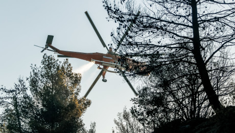 Φωτιά Τώρα Στη Νέα Αμφίπολη Στις Σέρρες