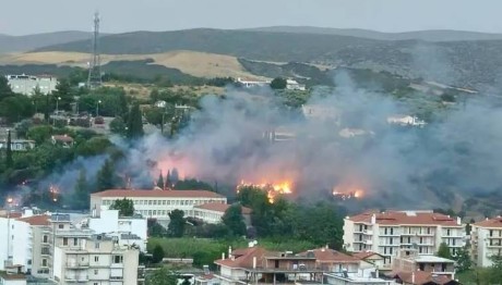 Φωτιά Λιβαδειά