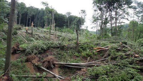 Αυστρία: 5χρονος Θάφτηκε Ζωντανός Σε Κατολίσθηση
