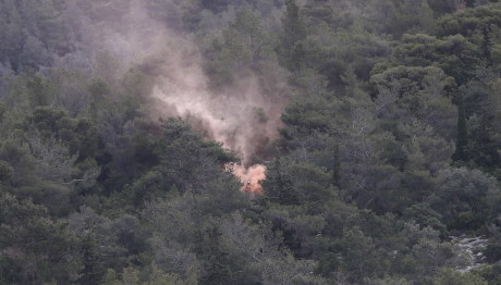 Λάρισα: Δασική Φωτιά Τώρα Στον Άγιο Θωμά