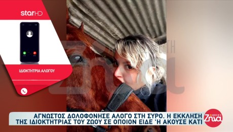 Σύρος: Άγρια Θανάτωση Αλόγου - Η Έκκληση Της Ιδιοκτήτριας