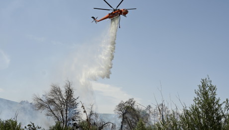 Φωτιά Στη Θεσσαλονίκη