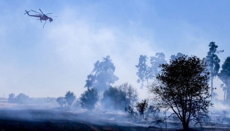 πυρκαγιά Λάρισα