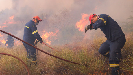 Φωτιά Στη Μήλο