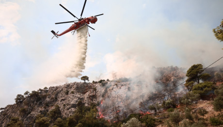 Φωτιά Τώρα Στο Μαρκόπουλο - Σηκώθηκαν Εναέρια Μέσα