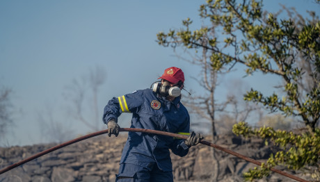 Φωτιά Στην Αργολίδα: Στάλθηκε Μήνυμα Από Το 112