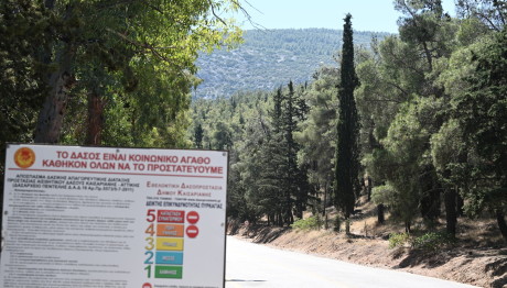 Ακραίος Κίνδυνος Πυρκαγιάς Στην Αττική Αύριο