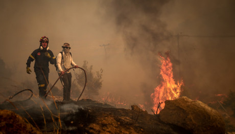 Φωτιά Τώρα Στη Μεγαλόπολη Αρκαδίας - Μήνυμα 112