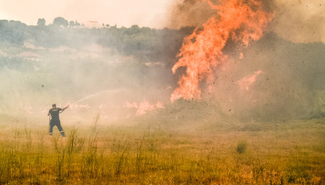 Φωτιά σε Ηλεία και Αχαΐα