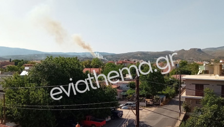 Φωτιά Τώρα Στην Εύβοια