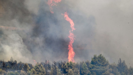 Φωτιά Τώρα Στην Αργολίδα - Σηκώθηκαν Εναέρια Μέσα