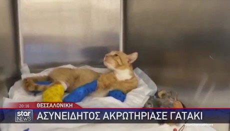 Θεσσαλονίκη