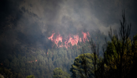 Μεγάλος Κίνδυνος Πυρκαγιάς - 55 Φωτιές Σε Μια Μέρα