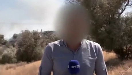 Ποιος Είναι Ο Δημοσιογράφος Που Ξυλοκόπησε Τη Σύντροφό Του