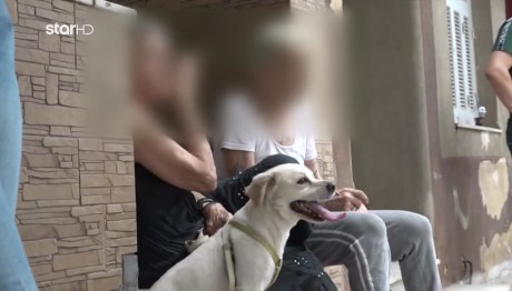 Kερατσίνι: Θρίλερ Με Τη Νεκρή Γυναίκα - Έκανε Μαύρο Εμετό