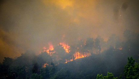 Φωτιά Σήμερα Στο Σουφλί Στον Έβρο