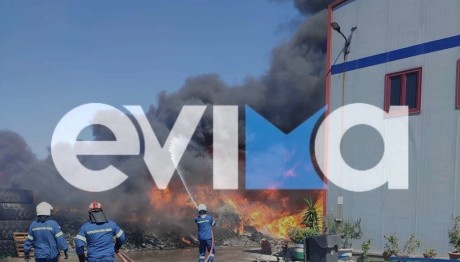 Φωτιά Στη Ριτσώνα