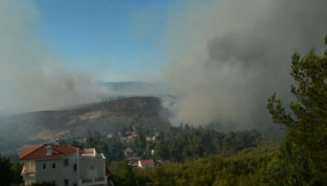Φωτιά στη Σταμάτα Αττικής
