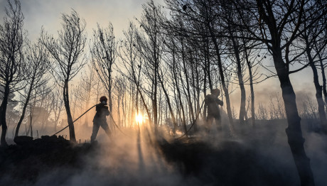 Φωτιά Σταμάτα: Καταγγελία Για Εμπρηστή Ντυμένο Πυροσβέστη