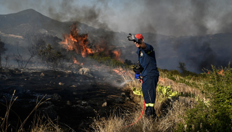 Αμαλιάδα: Βρέθηκαν Ανθρώπινα Οστά Μετά Την Κατάσβεση Φωτιάς