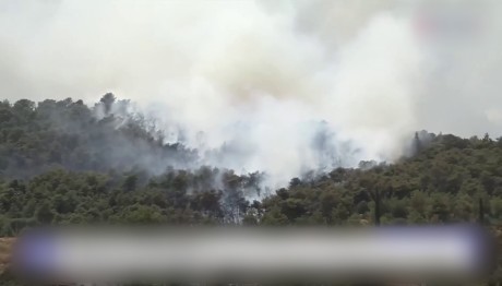Φωτιά Τώρα Στα Γλυκά Νερά - Συναγερμός Στην Πυροσβεστική