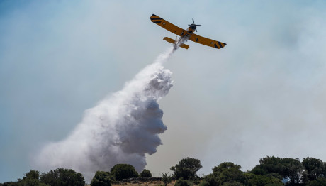 Πρέβεζα: Φωτιά