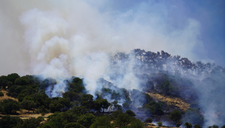 Λέσβος: Συνελήφθη 28χρονος ως υπαίτιος για τη φωτιά στον Μανταμάδο