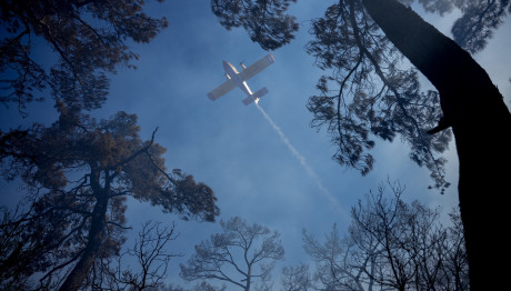 Φωτιά Στο Μαρκόπουλο