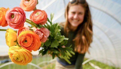 Εορτολόγιο