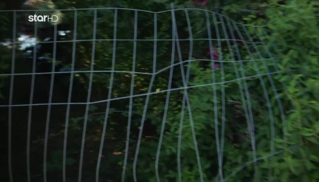 Χαλκιδική: Συρματοπλέγματα Στη Μάχη Του Υπερτουρισμού