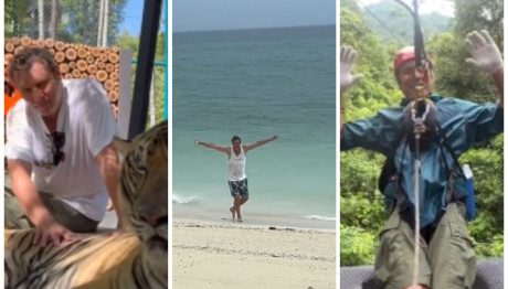 Γιάννης Στάνκογλου