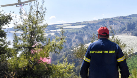 Φωτιά Τώρα Στη Σαλμώνη Ροδόπης