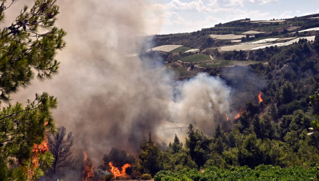 Φωτιά Στην Κέρκυρα - Μεγάλη Κινητοποίηση Της Πυροσβεστικής