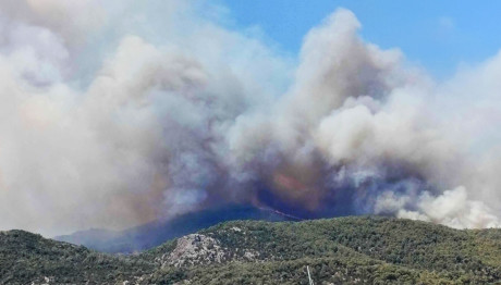 Φωτιά Στο Σοφικό Κορινθίας