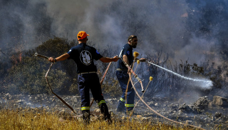 Φωτιά Σοφικό
