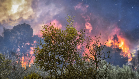 Φωτιά Στο Πάικο Όρος: Καίγεται Το Δάσος Της Πέλλας