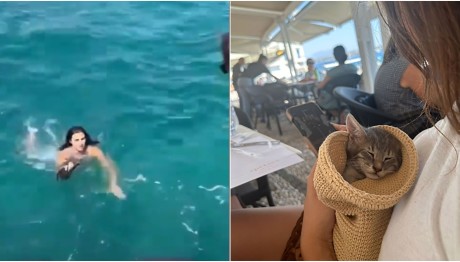 Σπέτσες: Τουρίστρια Βούτηξε Στο Λιμάνι Για Να Σώσει Γατάκι