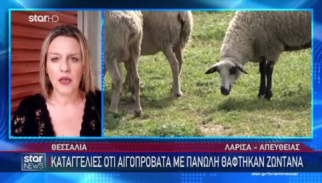 Πανώλη Αιγορποβάτων