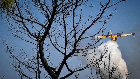 Φωτιά Τώρα Στην Αρκαδία - Σηκώθηκαν Εναέρια Μέσα