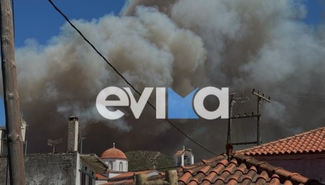 Φωτιά Τώρα Στην Εύβοια - Κοντά Στα Σπίτια Οι Φλόγες
