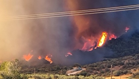Φωτιά Εύβοια: Ολονύχτια Μάχη Με Τις Φλόγες