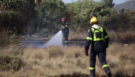 Φωτιά Τώρα Στον Μαραθώνα - Σηκώθηκαν Εναέρια Μέσα